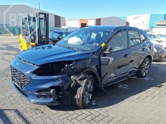  Ford Kuga Kuga III (DFK), SUV, 2019 2.5 PHEV 16V 2021/5