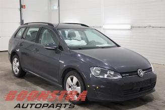 Volkswagen Golf Golf VII Variant (AUVV), Combi, 2013 / 2021 1.4 TGI 16V picture 3