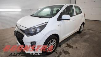 Démontage voiture Kia Picanto Picanto (JA), Hatchback, 2017 1.0 DPi 12V 2023/6