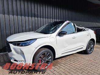 disassembly passenger cars Ford Kuga Kuga III (DFK), SUV, 2019 2.5 PHEV 16V 2025