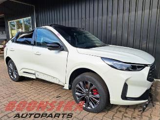 Ford Kuga Kuga III (DFK), SUV, 2019 2.5 PHEV 16V picture 2