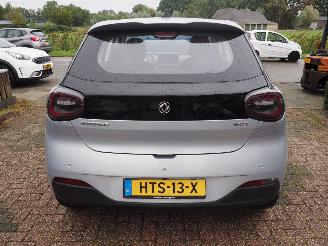 DongFeng Box Launch Edition 42 Kwh picture 5
