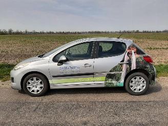 Salvage car Peugeot 207 1.4 VTI 16V 2010/6