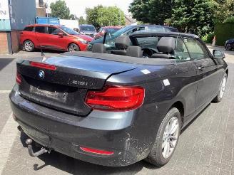 BMW 2-serie 2 serie (F23), Cabrio, 2014 / 2021 218i 1.5 TwinPower Turbo 12V picture 5