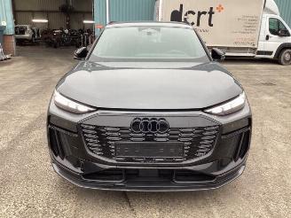 Audi Q6 Q6 e-tron (GFB), SUV, 2024 Performance 100 kWh picture 2