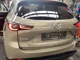 Mazda CX-5 CX-5 II (KF), SUV, 2016 2.0 SkyActiv-G 165 16V 2WD picture 14