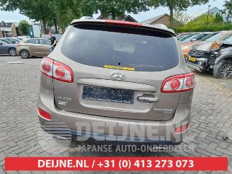 Hyundai Santa Fe Santa Fe II (CM), SUV, 2006 / 2012 2.0 CRDi 16V 4x4 picture 6
