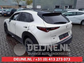 Mazda CX-30 CX-30 (DM), SUV, 2019 2.0 e-SkyActiv-G 122 16V picture 5
