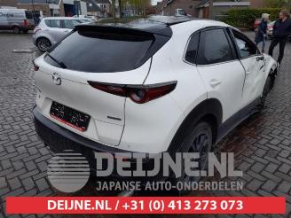 Mazda CX-30 CX-30 (DM), SUV, 2019 2.0 e-SkyActiv-G 122 16V picture 7