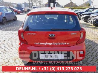 Kia Picanto Picanto (JA), Hatchback, 2017 1.0 12V picture 6
