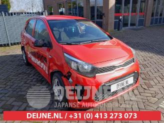 Salvage car Kia Picanto Picanto (JA), Hatchback, 2017 1.0 12V 2019/2