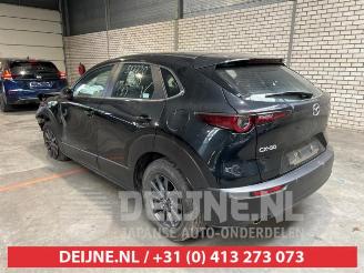 Mazda CX-30 CX-30 (DM), SUV, 2019 2.0 e-SkyActiv-G 122 16V picture 5