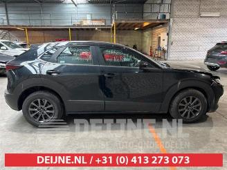 Mazda CX-30 CX-30 (DM), SUV, 2019 2.0 e-SkyActiv-G 122 16V picture 8