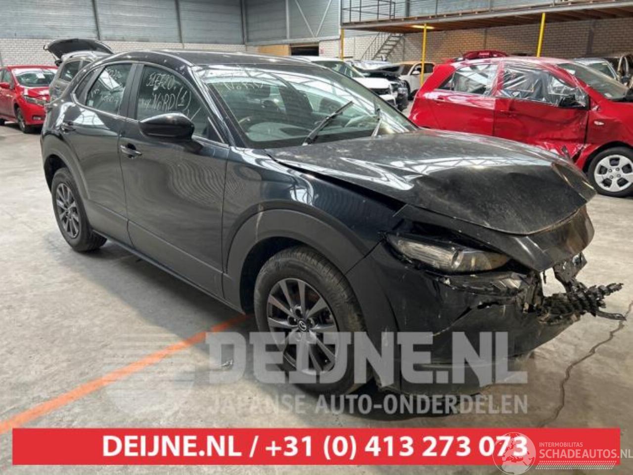Mazda CX-30 CX-30 (DM), SUV, 2019 2.0 e-SkyActiv-G 122 16V