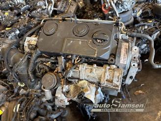 Volkswagen Golf Golf V Variant (1K5), Combi, 2007 / 2009 1.9 TDI picture 19