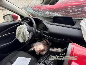 Mazda CX-30 CX-30 (DM), SUV, 2019 2.0 e-SkyActiv-G 150 16V picture 9