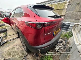 Mazda CX-30 CX-30 (DM), SUV, 2019 2.0 e-SkyActiv-G 150 16V picture 6