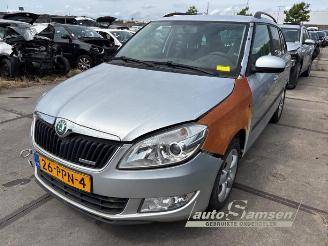 Sloopauto Skoda Fabia Fabia II Combi, Combi 5-drs, 2007 / 2014 1.2 TDI 12V Greenline 2011/3