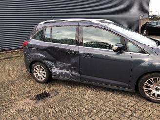 Ford Grand C-Max  picture 4