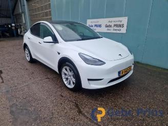 Autoverwertung Tesla Model Y Model Y (5YJY), SUV, 2019 RWD 2022/12