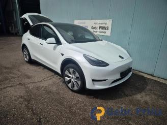 Autoverwertung Tesla Model Y Model Y (5YJY), SUV, 2019 RWD 2023/2