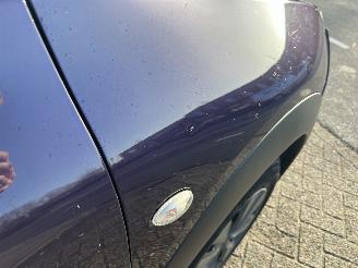 Citroën C4 cactus 1.6 BlueHDi Business picture 20