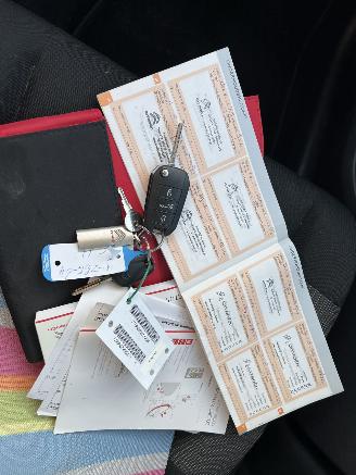 Citroën C4 cactus 1.6 BlueHDi Business picture 31