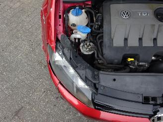 Volkswagen Golf Cabrio 1.6 TDI Life, Climate & Cruise, Navi, Stoelverw. picture 7