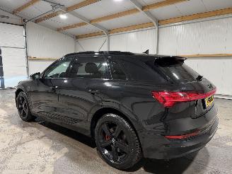 Audi E-tron 50  71kWh 230kW Quattro Launch Edition Plus picture 11