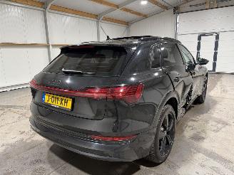 Audi E-tron 50  71kWh 230kW Quattro Launch Edition Plus picture 6