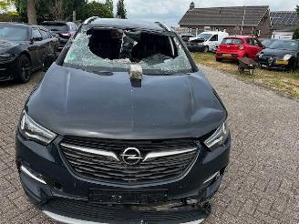 Opel Crossland x diesel  BHZW-C2F000 picture 2