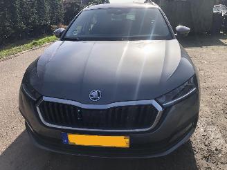Schadeauto Skoda Octavia Octavia Combi 1.0 TSI Business Edition 2023/7