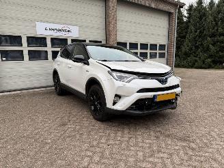  Toyota Rav-4 2.5 Hybrid AWD Executive Automaat Leder 2017/5