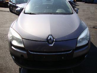 Renault Mégane  picture 2