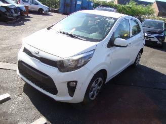  Kia Picanto  2017/1