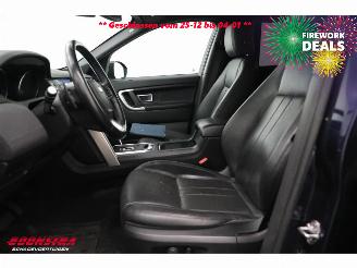 Landrover Discovery Sport 2.0 TD4 HSE VAN Commercial Navi Camera SHZ Leder picture 10