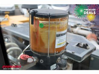 Liebherr  A916 LITRONIC SMP Tiltrotator picture 33