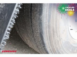 Schmitz Cargobull  SCB*S3 Carrier Vector HE19MT MultiTemp Rohrbahn Fleisch picture 22