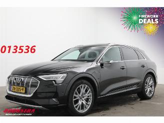 skadebil auto Audi E-tron 55 Quattro MirrorCam 360° Memory SHZ AHK 2019/5