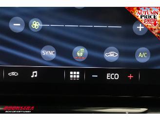 Skoda Enyaq 80 ACC Navi SHZ Apple/Android AHK Camera PDC Clima picture 36