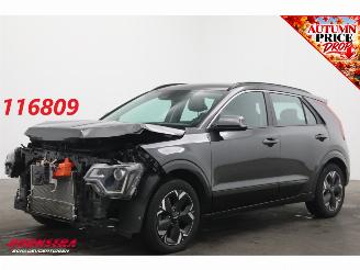 Damaged car Kia e-Niro DynamicLine 64.8 kWh Camera LED Clima Apple/Android Navi 2024/7