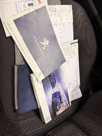 Peugeot 308 HB 1.2 Blue Lease Exe. Pano picture 20