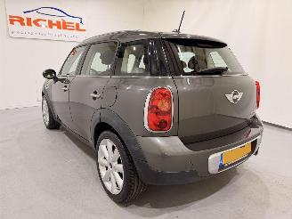 Mini Countryman Cooper 1.6 Chili Navi/Clima picture 18