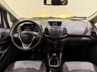 Ford EcoSport 1.0 Ecosport Titanium picture 8