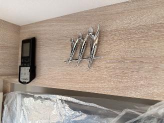 Rapido  8066DF 60th Edition Aut9 picture 49