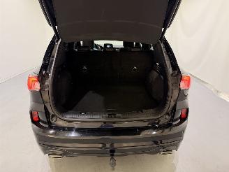 Ford Kuga 2.5 PHEV Vignale ST-Line picture 12