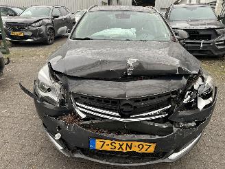 Opel Insignia Sports Tourer 2.0 CDTI picture 2