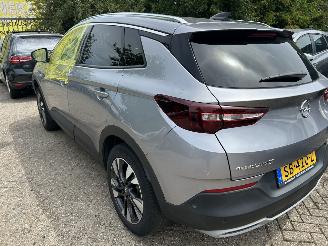 Opel Grandland X 1.2 Turbo picture 7