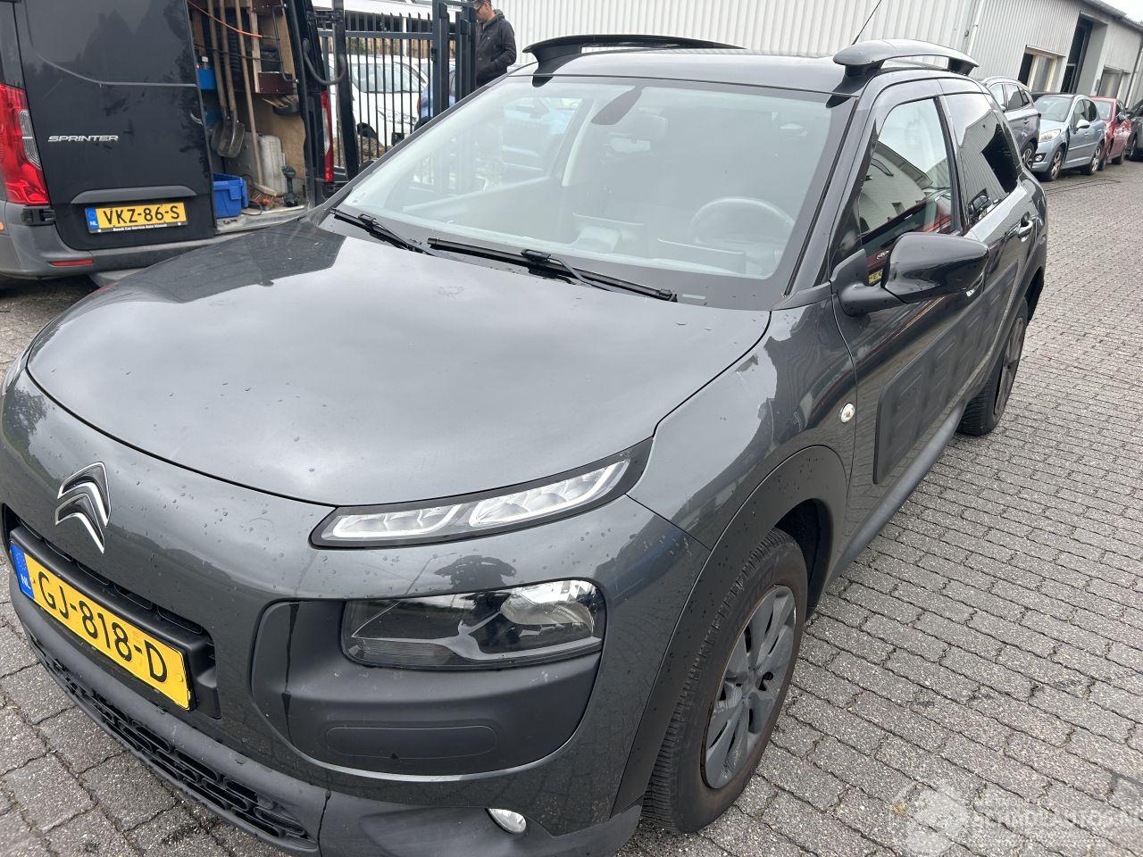 Citroën C4 cactus 1.6 BlueHDI