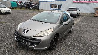 Peugeot 207 KTN 2008/5